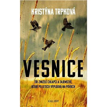 

Vesnice: Tři zmizelí chlapci a tajemství, které po letech vyplouvá na povrch