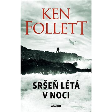 

Sršeň létá v noci