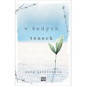

V šedých tónech