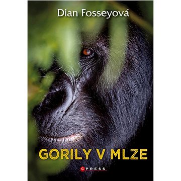 

Gorily v mlze