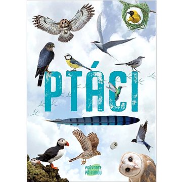 

Ptáci