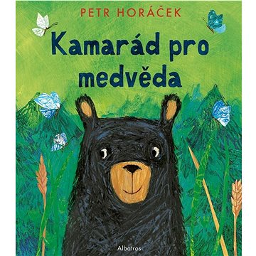 

Kamarád pro medvěda