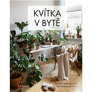 

Kvítka v bytě