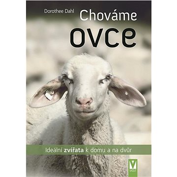 

Chováme ovce: ideální zvířata k domu a na dvůr