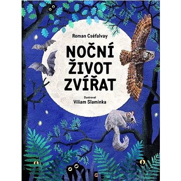 

Noční život zvířat