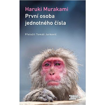 

První osoba jednotného čísla