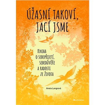 

Úžasní takoví, jací jsme: Kniha o sebepřijetí, sebedůvěře a radosti ze života