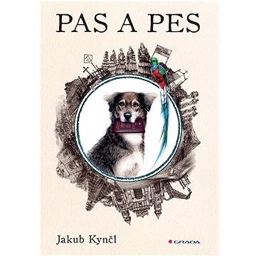 

Pas a pes