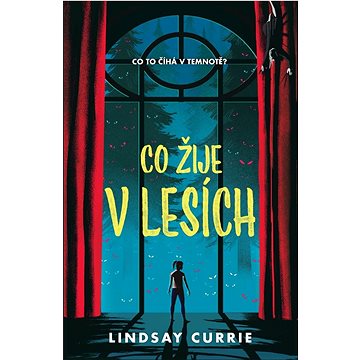 

Co žije v lesích
