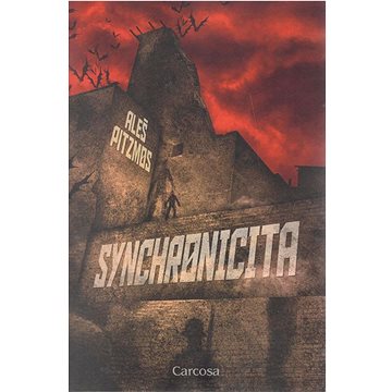 

Synchronicita