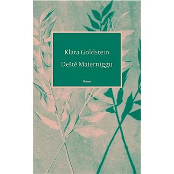 

Deště z Maierniggu