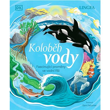 

Koloběh vody: Fascinující proměny ve vodní říši