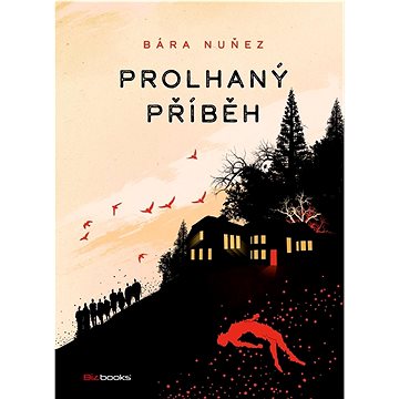 

Prolhaný příběh