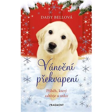 

Vánoční překvapení: Příběh, který zahřeje u srdce