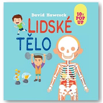

Lidské tělo 10x POP UP