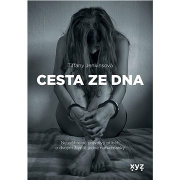 

Cesta ze dna: Neuvěřitelně pravdivý příběh o dvojím životě jedné narkomanky