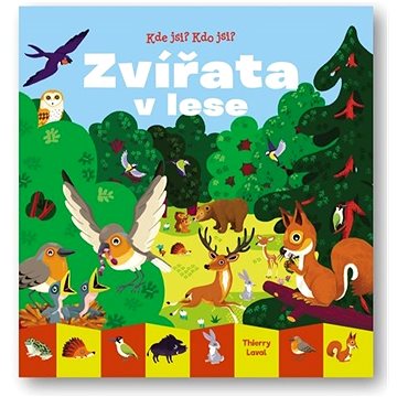 

Kde jsi Kdo jsi Zvířata v lese