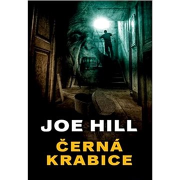 

Černá krabice