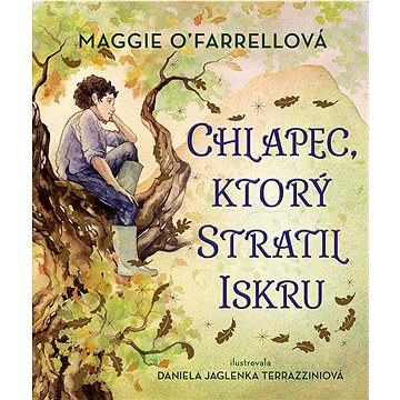 

Chlapec, ktorý stratil iskru