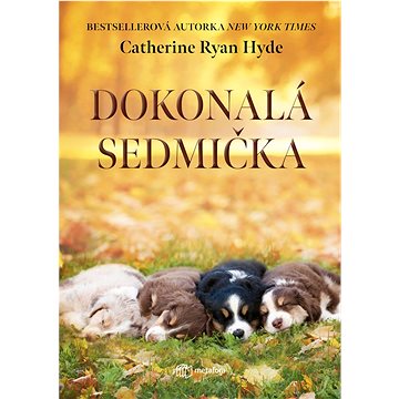 

Dokonalá sedmička