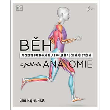 

Běh z pohledu anatomie: pochopte fungování těla pro lepší a účinější cvičení