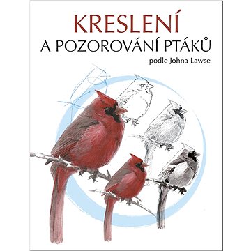 

Kreslení a pozorování ptáků