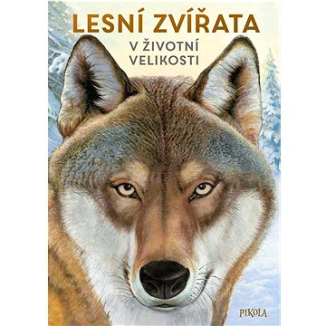 

Lesní zvířata v životní velikosti
