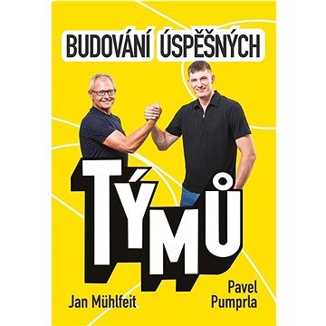 

Budování úspěšných týmů