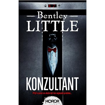 

Konzultant
