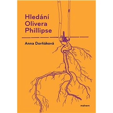

Hledání Olivera Phillipse