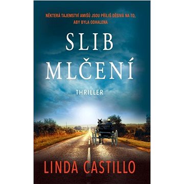 

Slib mlčení: Thriller