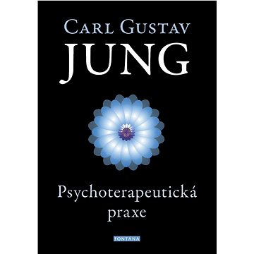 

Psychoterapeutická praxe