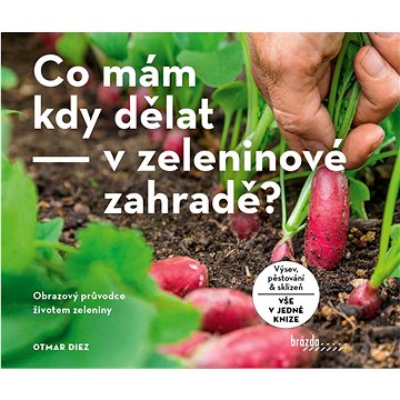 

Co mám kdy dělat - v zeleninové zahradě