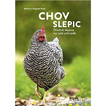 

Chov slepic: Šťastné slepice na vaší zahradě