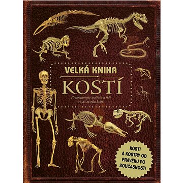 

Velká kniha kostí