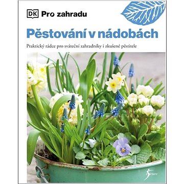 

Pěstování v nádobách: Praktický rádce pro sváteční zahradníky i zkušené pěstitele