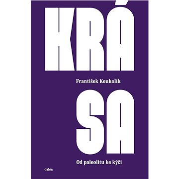 

Krása: Od paleolitu ke kýči