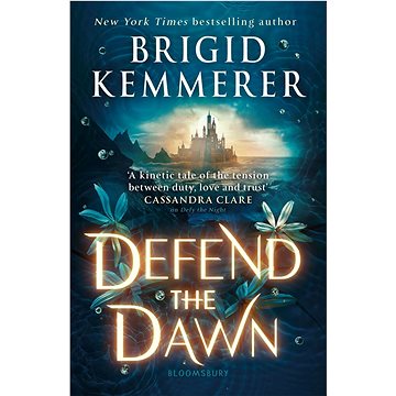 

Defend the Dawn
