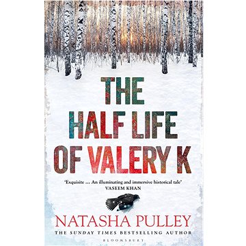 

The Half Life of Valery K: THE TIMES HISTORICAL FICTION BOOK OF THE MONTH
