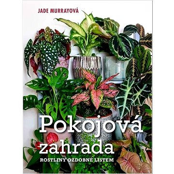 

Pokojová zahrada: Rostliny ozdobné listem