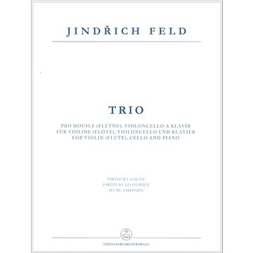 

Trio pro housle (flétnu), violoncello a klavír