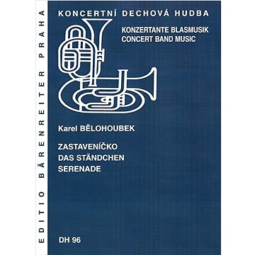 

Zastaveníčko: Koncertní dechová hudba