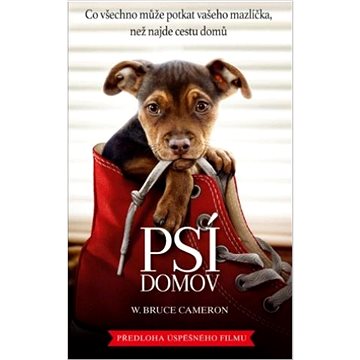 

Psí domov: Co všechno může potkat vašeho mazlíčka, než najde cestu domů