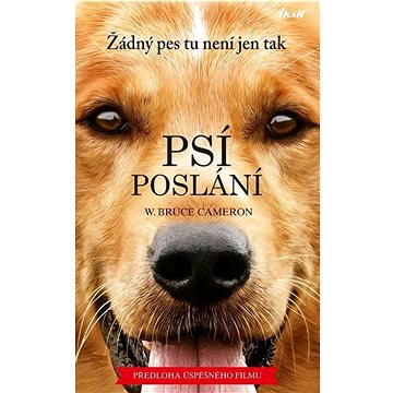 

Psí poslání Žádný pes tu není jen tak: Předkoha úspěšného filmu