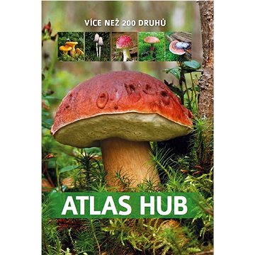 

Atlas hub