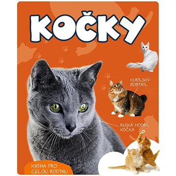 

Kočky