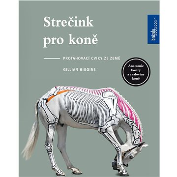 

Strečink pro koně: Protahovací cviky ze země
