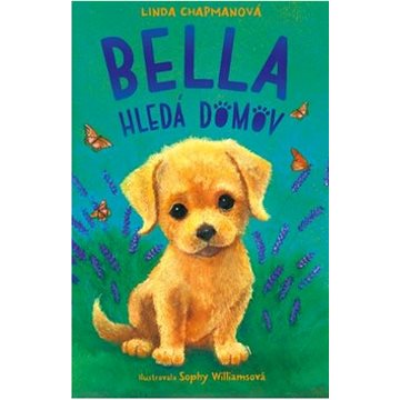 

Bella hledá domov