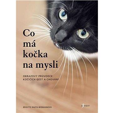 

Co má kočka na mysli: Obrazový průvodce kočičích gest a chování