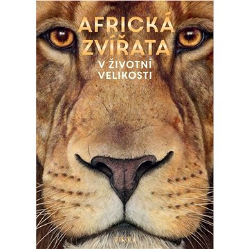 

Africká zvířata V životní velikosti
